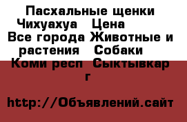 Пасхальные щенки Чихуахуа › Цена ­ 400 - Все города Животные и растения » Собаки   . Коми респ.,Сыктывкар г.